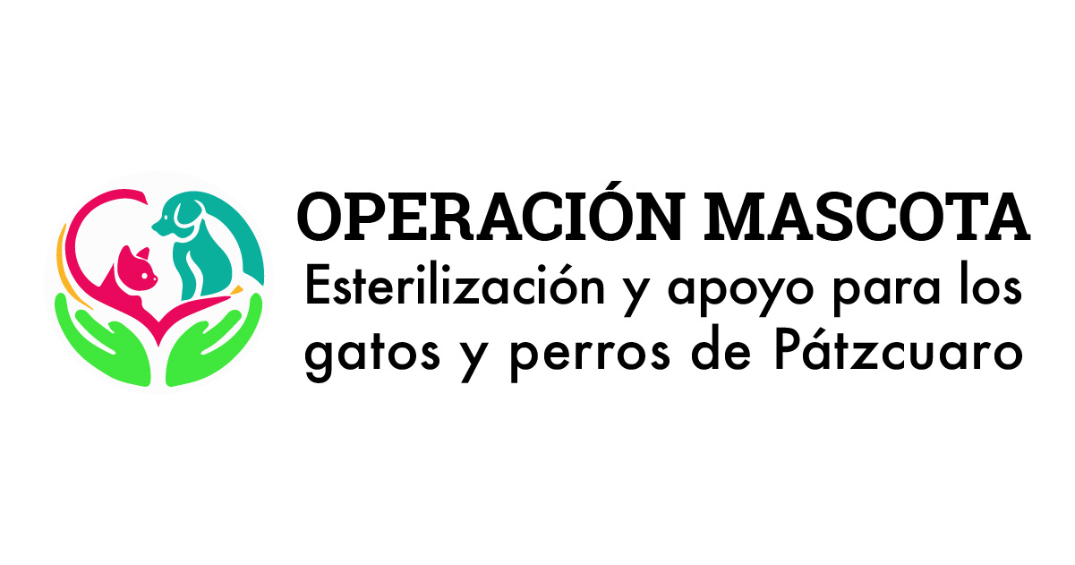 Operación Mascota - Esterilización y apoyo para los gatos y perros de Pátzcuaro